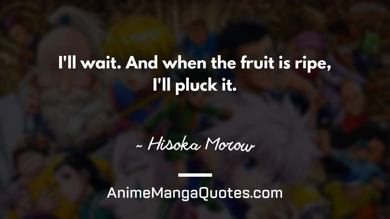 I'll wait. And when the fruit is ripe, I'll pluck it. ~ Hisoka Morow - AnimeMangaQuotes.com